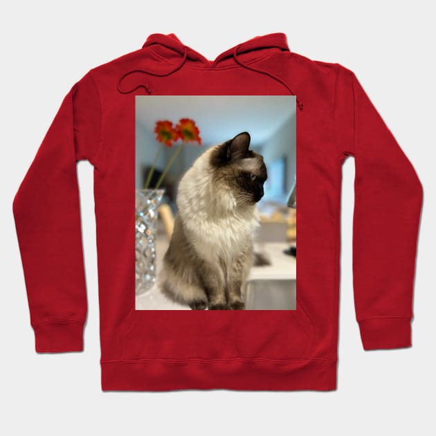 Ragdoll Cat Hoodie by KarenZukArt